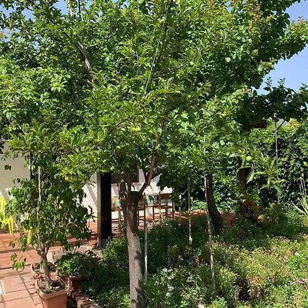 Casa Tranquilla A Pochissimi Passi Dal Mare *