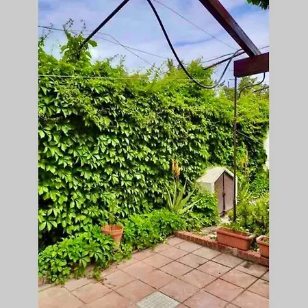 Casa Tranquilla A Pochissimi Passi Dal Mare Casa vacanze Sant'Andrea (Sardinia)