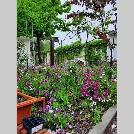 Casa vacanze Casa Tranquilla A Pochissimi Passi Dal Mare *