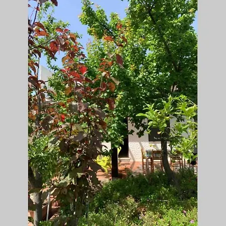 Casa Tranquilla A Pochissimi Passi Dal Mare