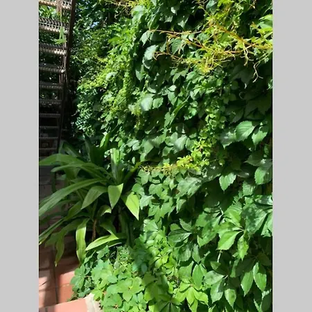 Casa vacanze Casa Tranquilla A Pochissimi Passi Dal Mare