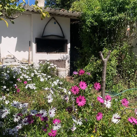 Casa Tranquilla A Pochissimi Passi Dal Mare Sant'Andrea