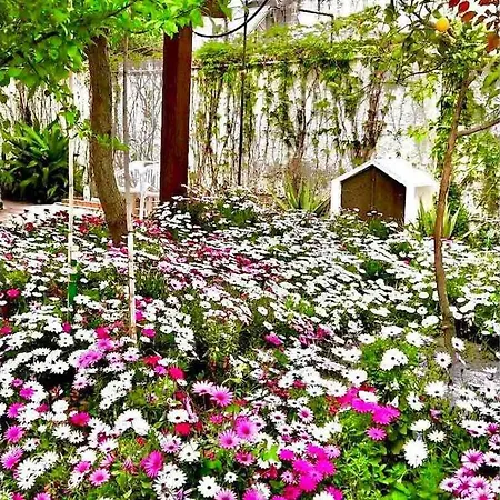 Casa Tranquilla A Pochissimi Passi Dal Mare